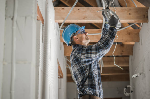 Best Electrical System Inspection  in Bath, MI