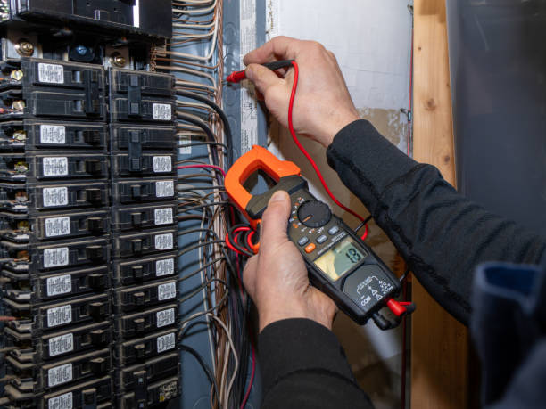 Best Local Electrician Companies  in Bath, MI